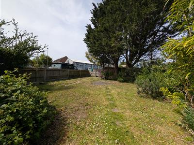 Picture 16